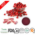 100% natürlicher Cranberry-Extrakt 40% Proanthocyanidine für die Gesundheit von Wowen